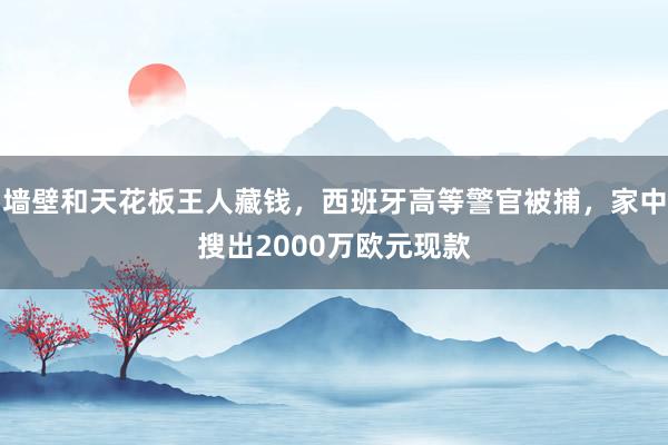 墙壁和天花板王人藏钱，西班牙高等警官被捕，家中搜出2000万欧元现款