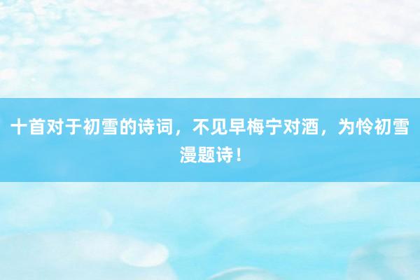 十首对于初雪的诗词，不见早梅宁对酒，为怜初雪漫题诗！