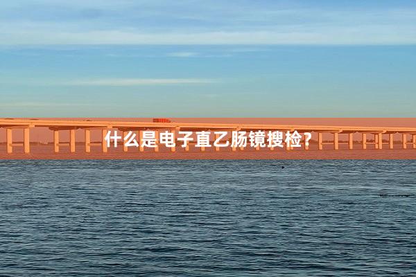 什么是电子直乙肠镜搜检？