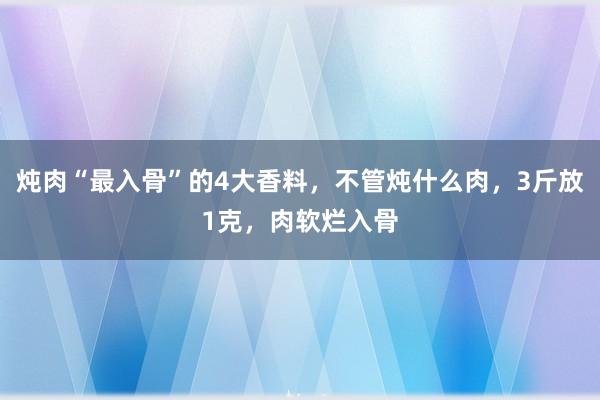 炖肉“最入骨”的4大香料，不管炖什么肉，3斤放1克，肉软烂入骨