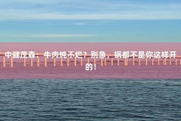 中健茂森：牛肉炖不烂？别急，锅都不是你这样开的！