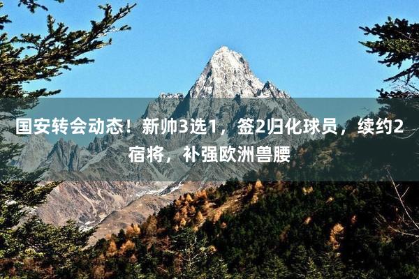 国安转会动态！新帅3选1，签2归化球员，续约2宿将，补强欧洲兽腰