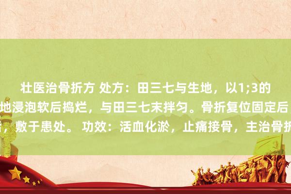 壮医治骨折方 处方：田三七与生地，以1;3的比例，田三七研末，生地浸泡软后捣烂，与田三七末拌匀。骨折复位固定后，敷于患处。 功效：活血化淤，止痛接骨，主治骨折，镇痛生骨的作用较好。